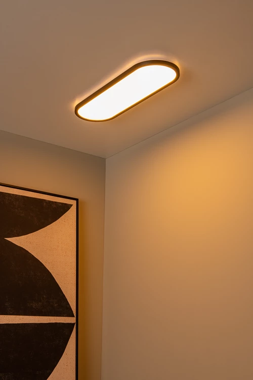 Lucide ELLY - Plafonnière - LED Dimb. - CCT - 1x24W 2700K/4000K - Opaal | Essential - sfeer 1